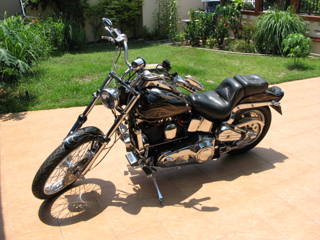 Harley Softail Custom 1992