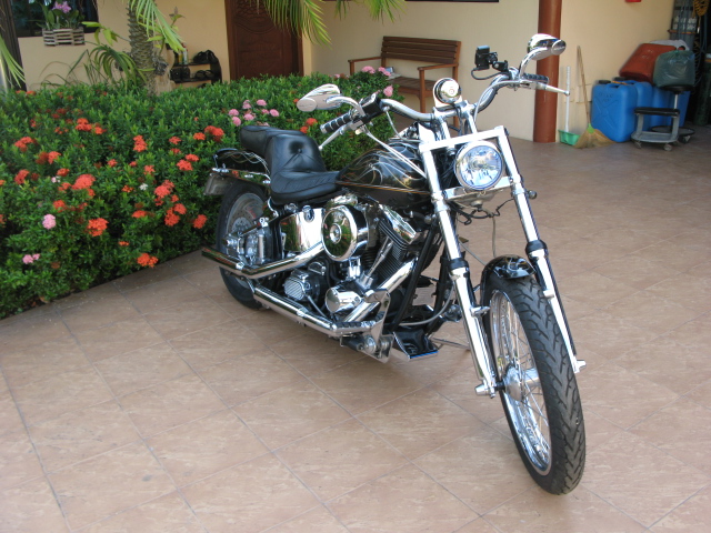 Harley for Sale